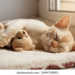 草榴短视频 9nkd8