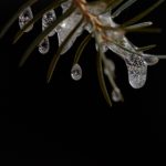 欧美日韩色图 peebr